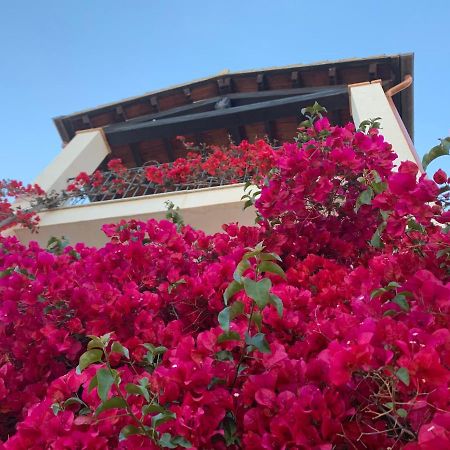 Appartamenti Supramonte Santa Maria Navarrese Dış mekan fotoğraf