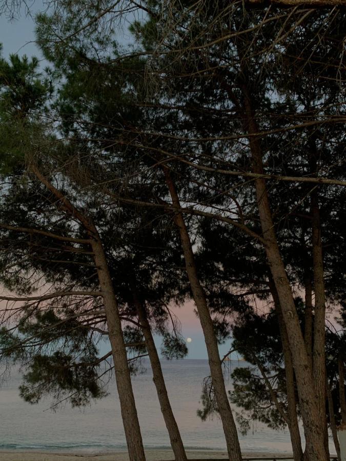 Appartamenti Supramonte Santa Maria Navarrese Dış mekan fotoğraf